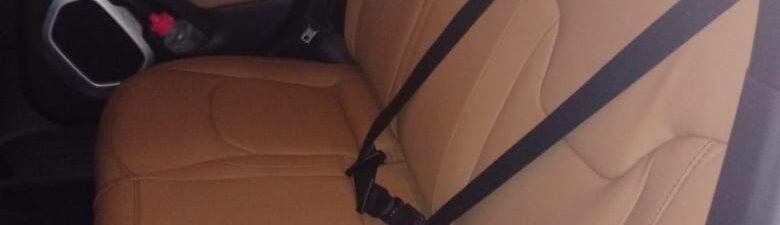 RENEGADE (17) RENEGADE (17)